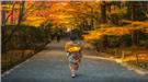 Nét đẹp Kimono Nhật Bản hấp dẫn du khách